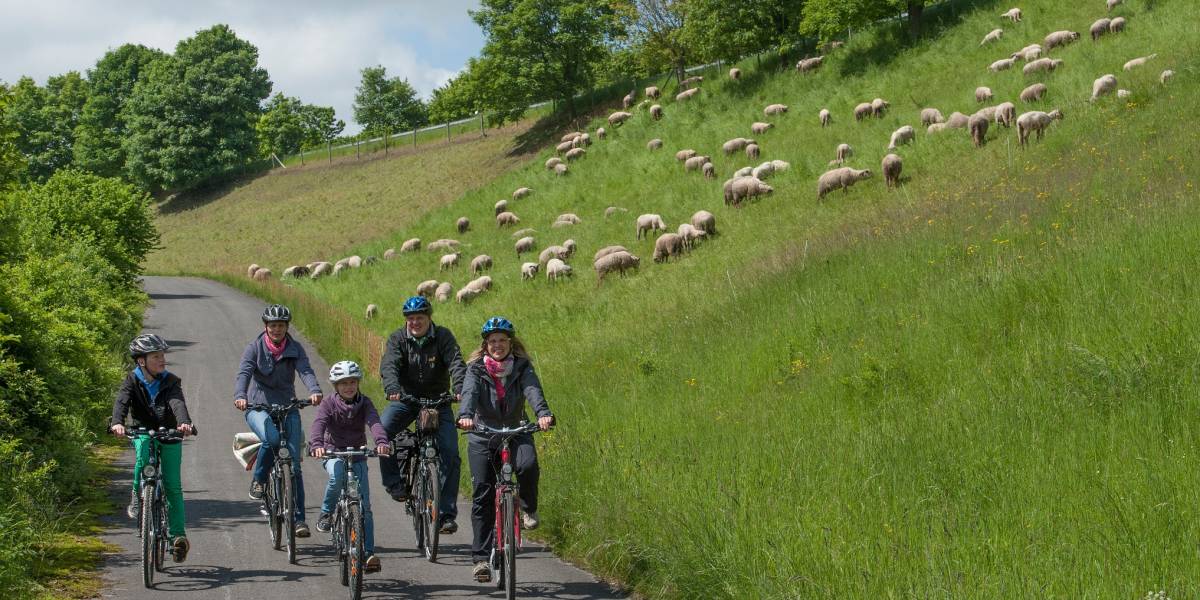 Altenauradweg © Touristikzentrale Paderborner Land / Reinhard Rohlf